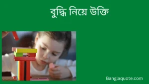 বুদ্ধি নিয়ে উক্তি