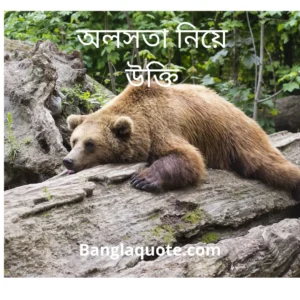 অলসতা নিয়ে উক্তি